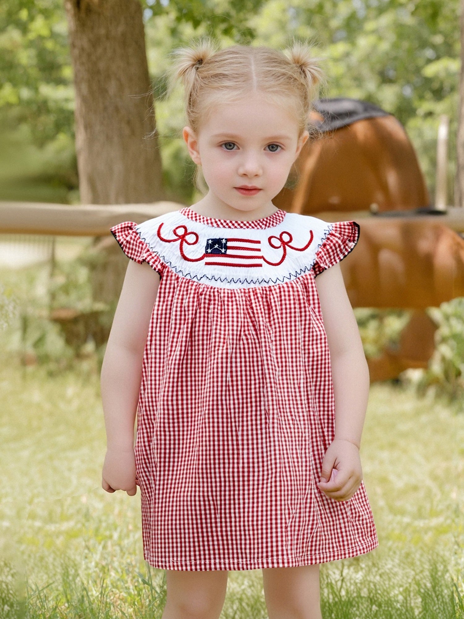 Toddler Girls Red Gingham American Flag Embroidery Ruffle A-Line Dress