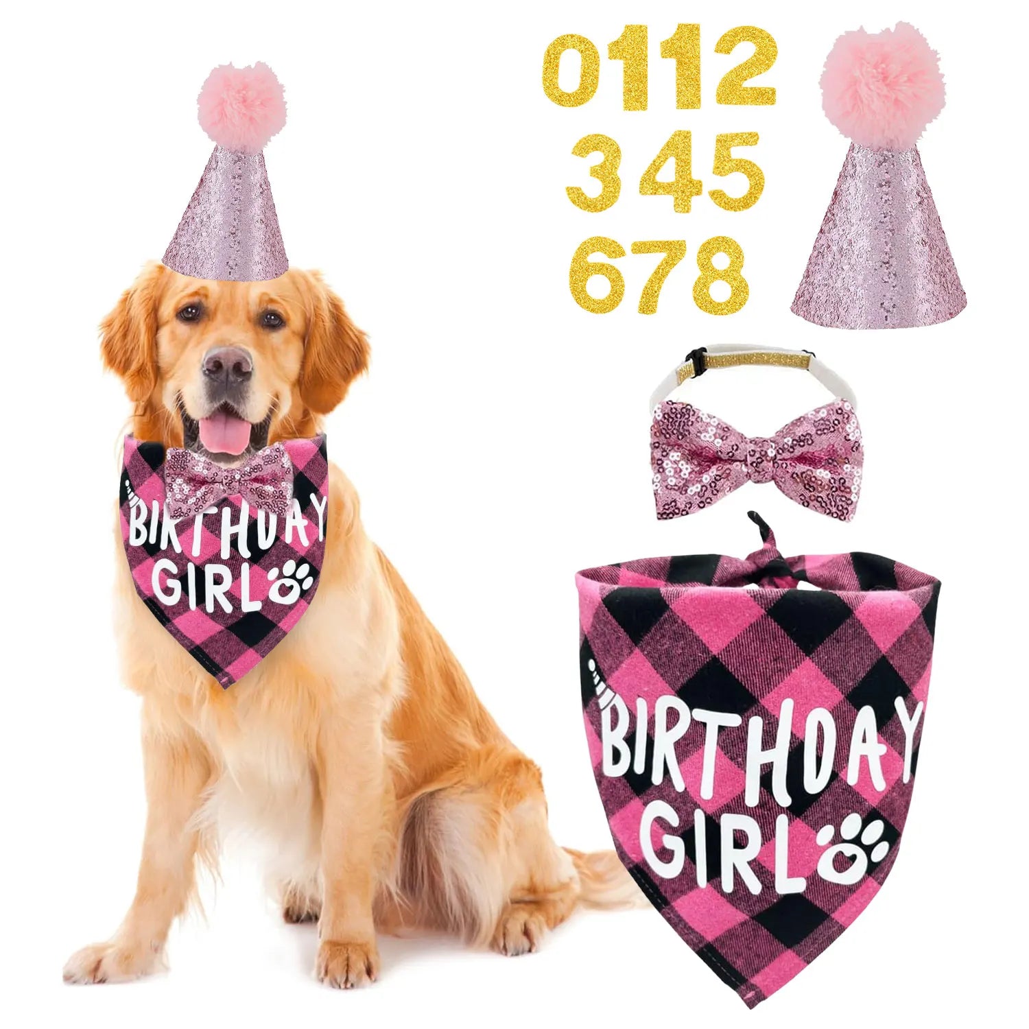 Dog Birthday Party Supplies - Dog Bandana Hat Set 4pc