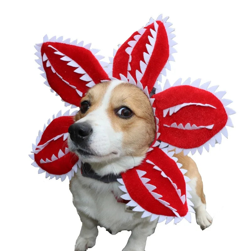 Demogorgon Pet Hat - Birthday Party Headgear Dog Cat
