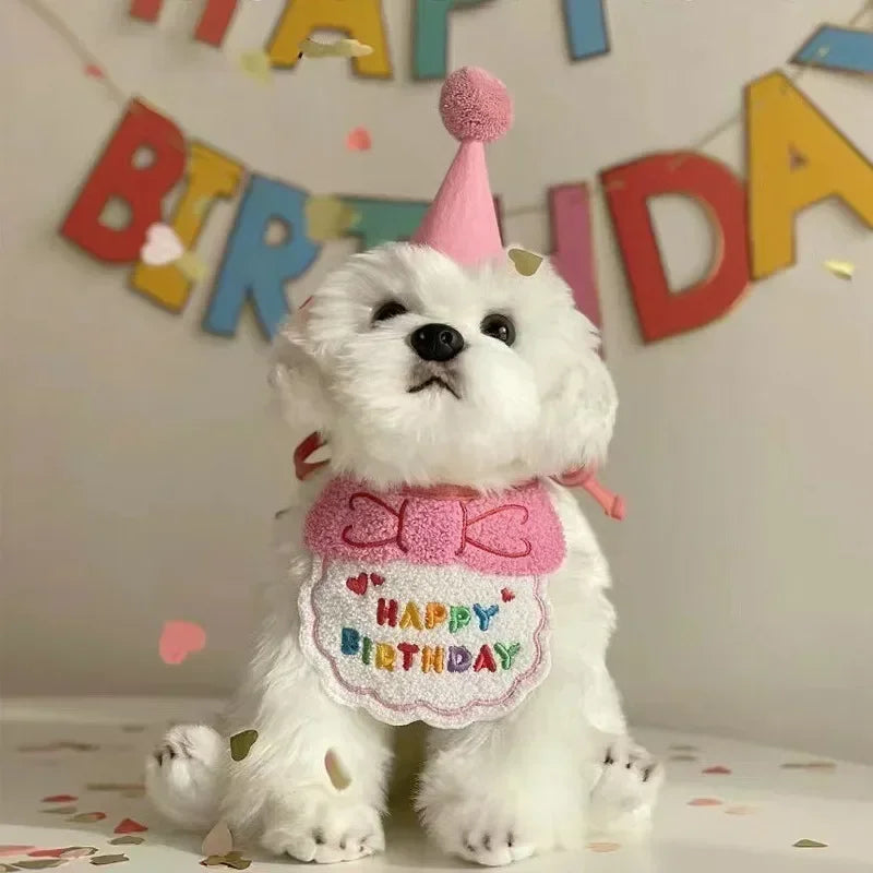 Cat Birthday Hat Scarf Set - Pet Party Decor 1 set