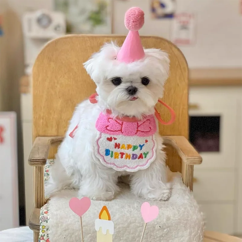 Pet Birthday Costume Set - Dog Cat Party Hat Bib 2pc